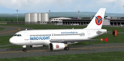 Aero Flight (arf)