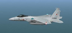 Japan Air Force (jaf)