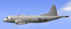 United States Navy (usn)
